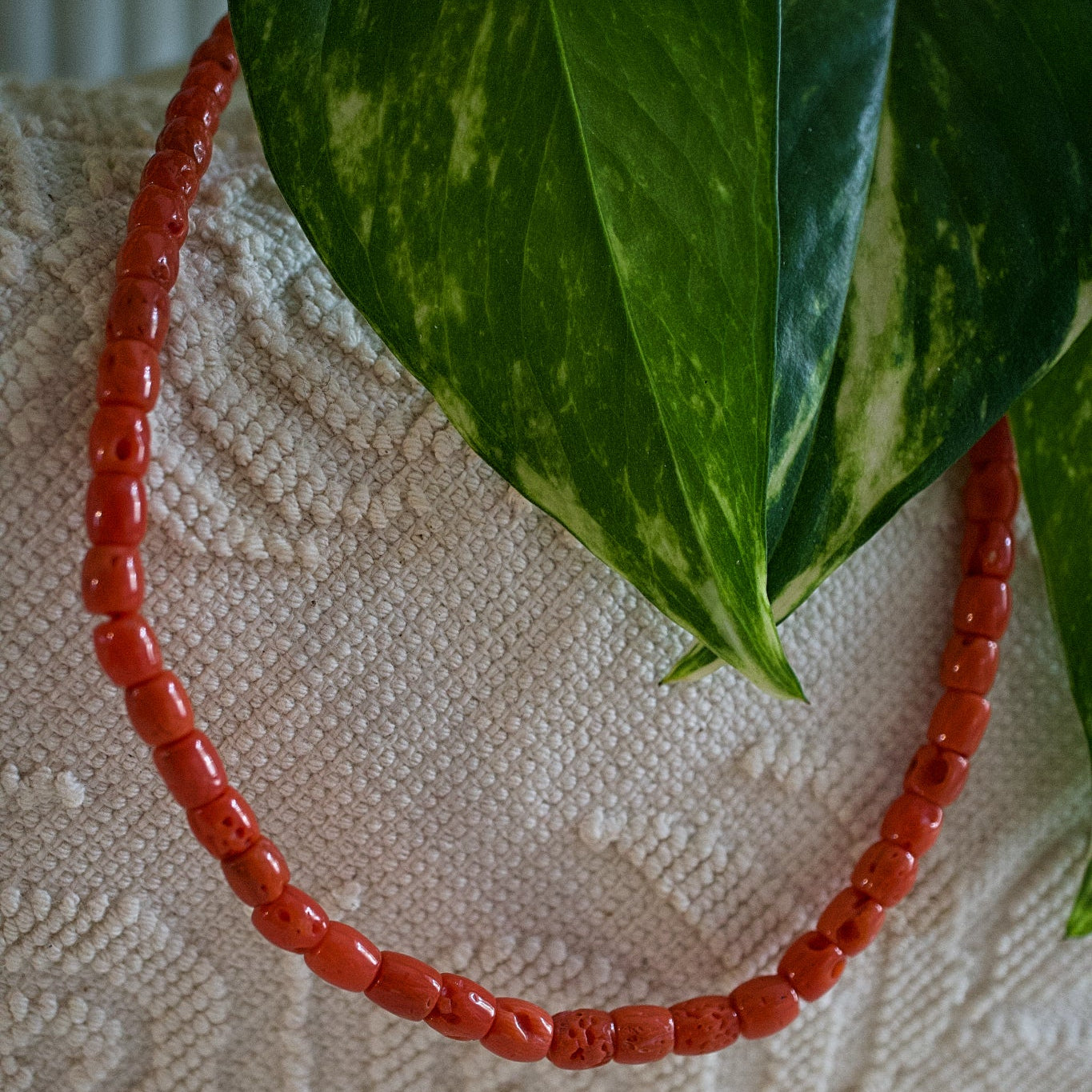 ninetta_corallo_collana