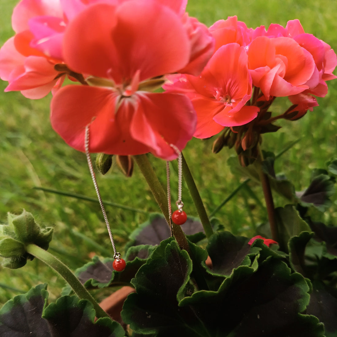 SUSSURRO DI CORALLO | ORECCHINO PENDENTENTE ARGENTO E CORALLO GORALgioielli