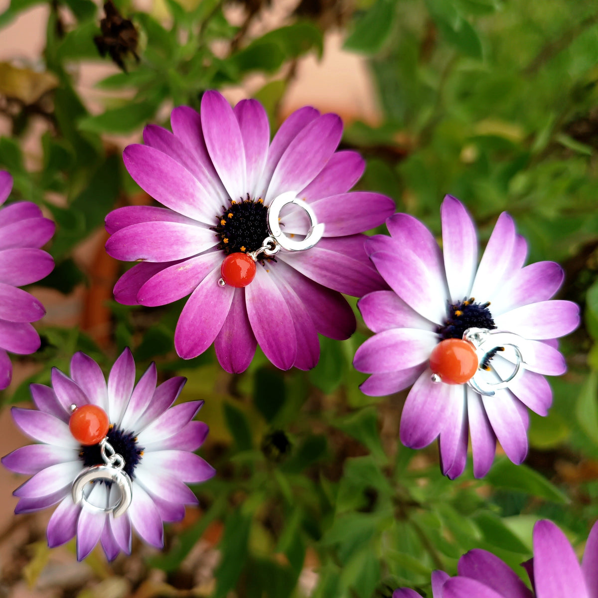 CERCHIO D'AMORE | ORECCHINO CERCHIO D'ARGENTO E SFERA DI CORALLO