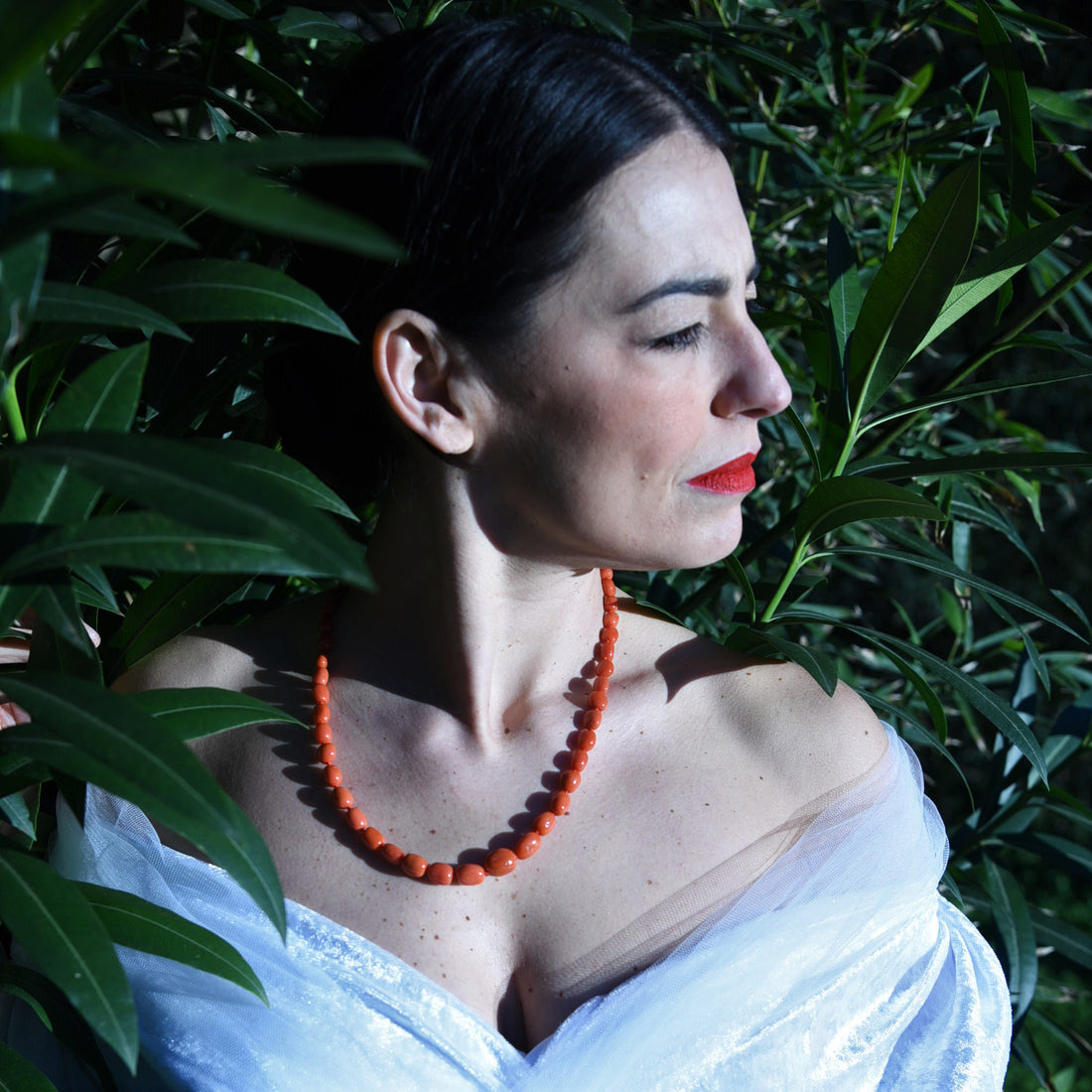 Cillana sassi corallo